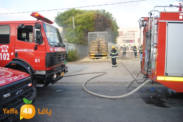 fire truck 804 (5).JPG